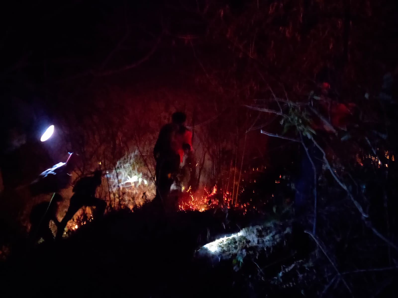 KEMBALI BERKOBAR: Petugas memadamkan karhutla Gunung Penanggungan di wilayah Trawas yang setelah dilaporkan kembali menyala, Jumat (20/10) petang.