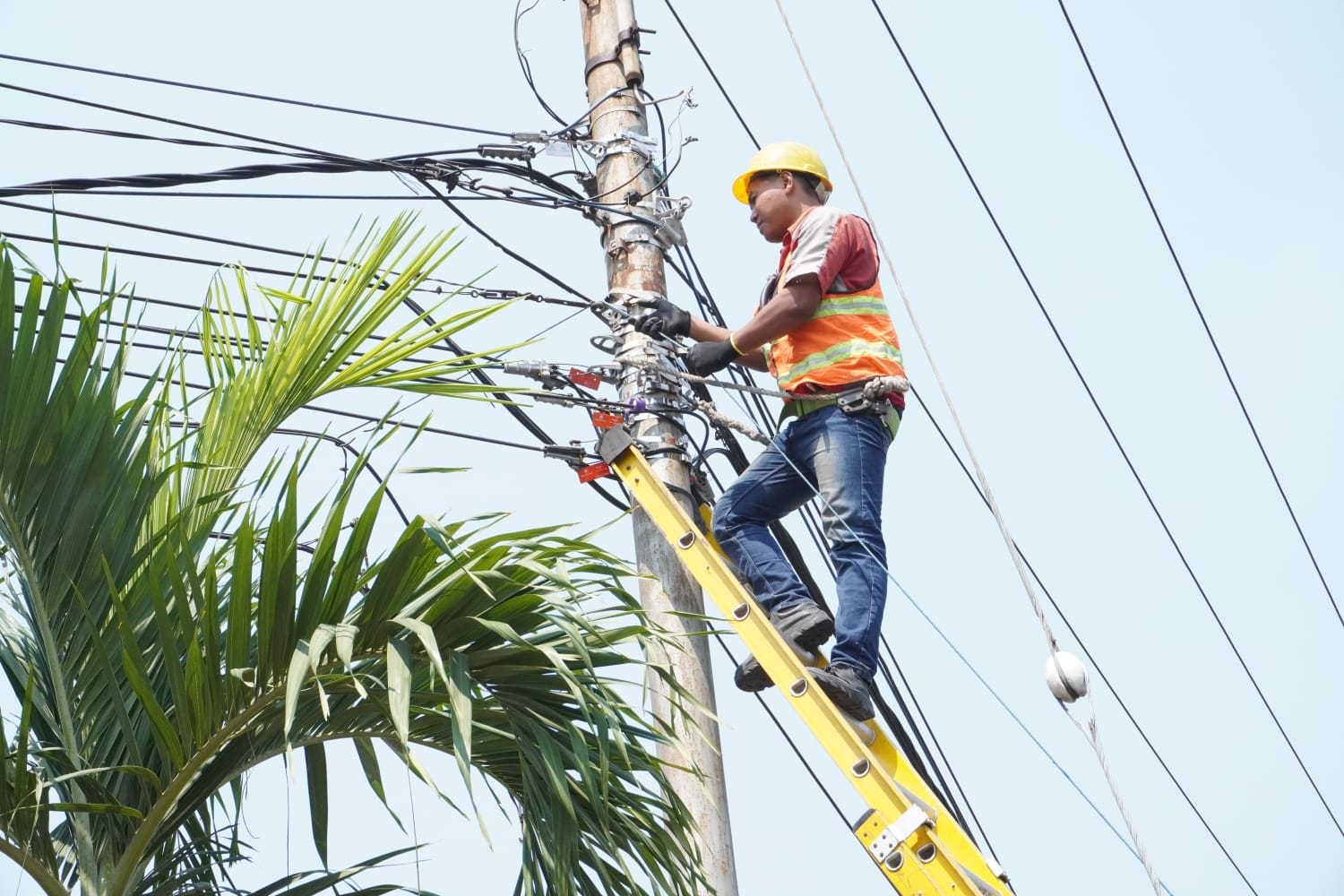 DIRAPIKAN: Petugas pemeliharaan dari PLN UP3 Mojokerto melakukan perapian kabel di area Kota Mojokerto.