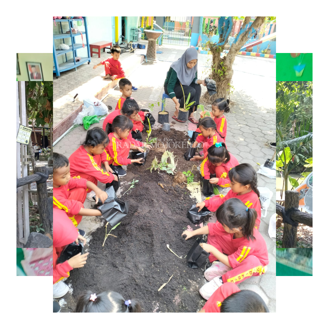 MENANAM: TK Dharma Wanita Unit Dikbud Kota Mojokerto belajar menanam tanaman di halaman sekolah.