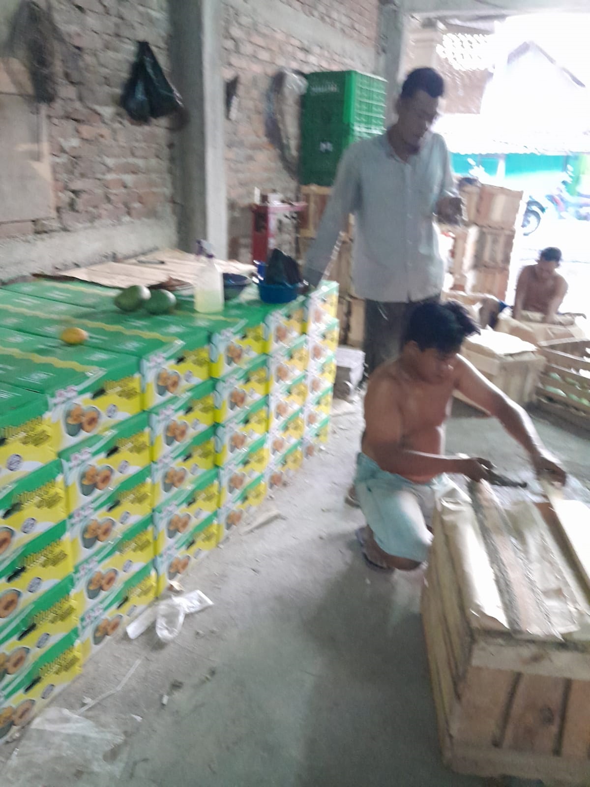 SIAP DIKIRIM: Proses pengemasan mangga yang menjadi komoditas unggulan di Desa Bangeran.