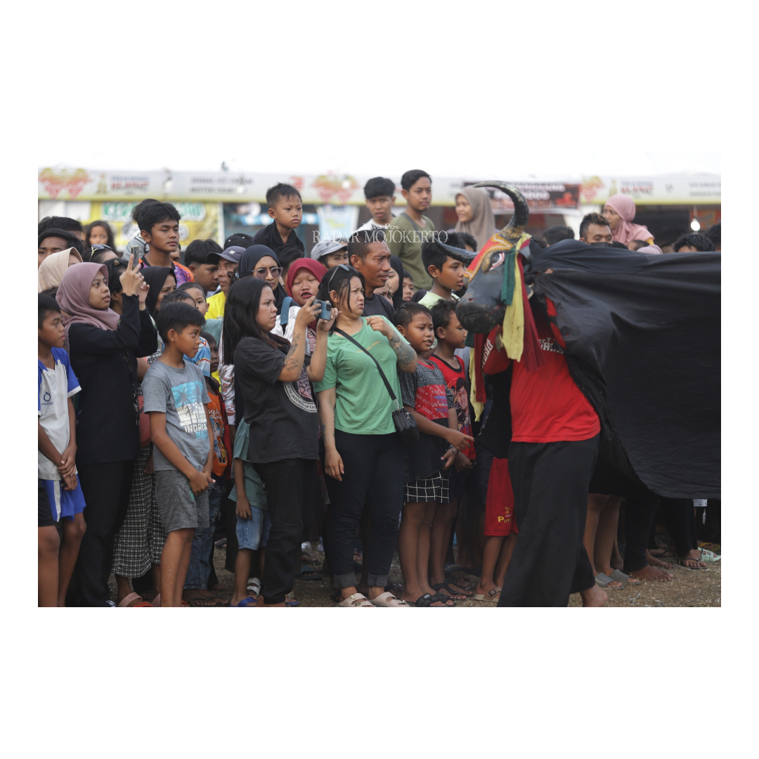 MERAKYAT: Pengunjung bersuka ria bersama pemain Bantengan di lapangan Raden Wijaya Surodinawan Kota Mojokerto, kemarin. Pementasan bantengan tersebut dalam rangkaian Pekan Budaya Majapahit.