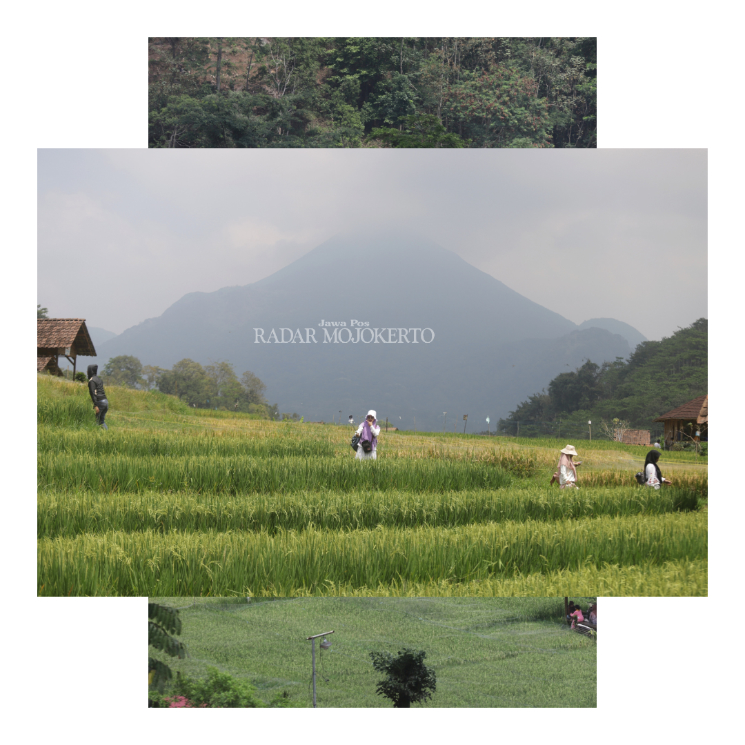 INDAH: Wisata Sumber Gempong berupa lembah dengan latar belakang Gunung Penanggungan.