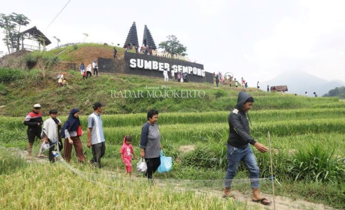 ASRI: Wisata sawah Sumber Gempong dapat dijadikan sebagai wishlist holiday akhir tahun bersama keluarga maupun teman-teman. (dok Radar Mojokerto)