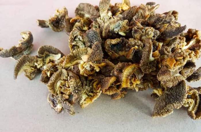 Keripik bekicot. (foto Dela for Radar Mojokerto)