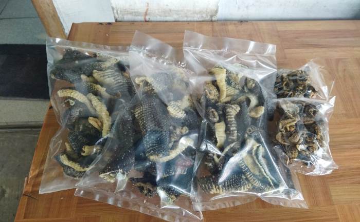 Kerupuk rambak kulit biawak. (foto Khasib for Radar Mojokerto)