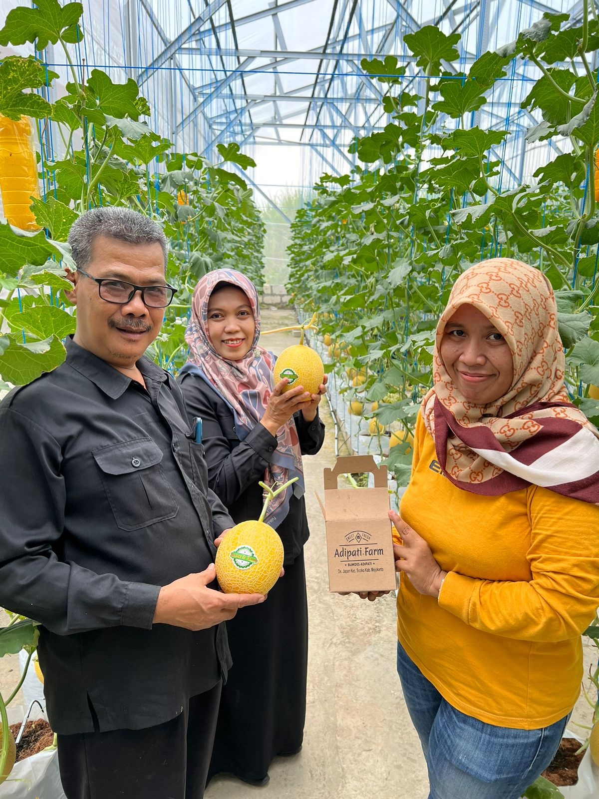MENARIK: Hasil budi daya melon green house BUMDes Adipati bakal terus dikembangkan dan menjadi ikon Desa Japan untuk kebangkitan ekonomi masyarakat dan pemdes.