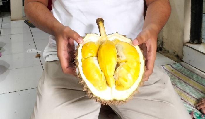 JENIS LOKAL: Durian bawor menyimpan rasa manis, legit, dan lembut di lidah. (foto Moch. Chariris)