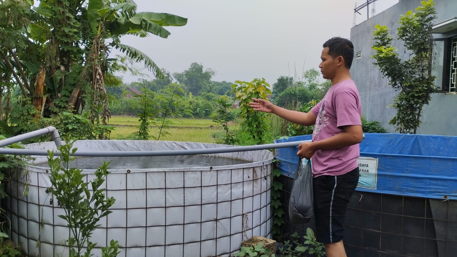DIGANDERUNGI: Kolam ikan terpal menjadi produk andalan M. Hadi Yatulloh, warga Desa Klinterejo, Kecamatan Sooko, Kabupaten Mojokerto. (foto: Nadya azzahra for Radar Mojokerto)