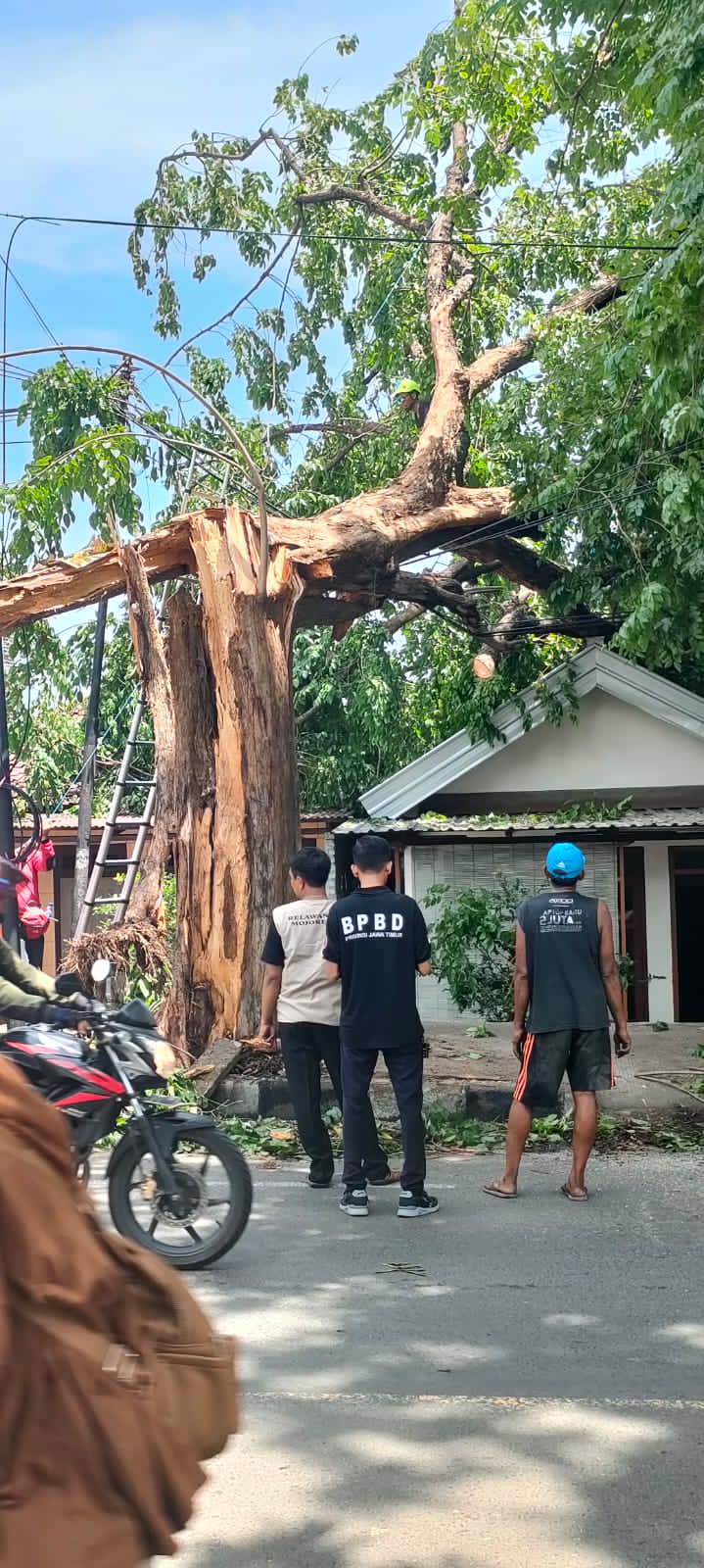 PENANGANAN DARURAT: Petugas BPBD melakukan asesmen rumah terdampak angin kencang di Dusun Wunut, Desa Sampangagung, Kecamatan Kutorejo, Kamis (11/1).