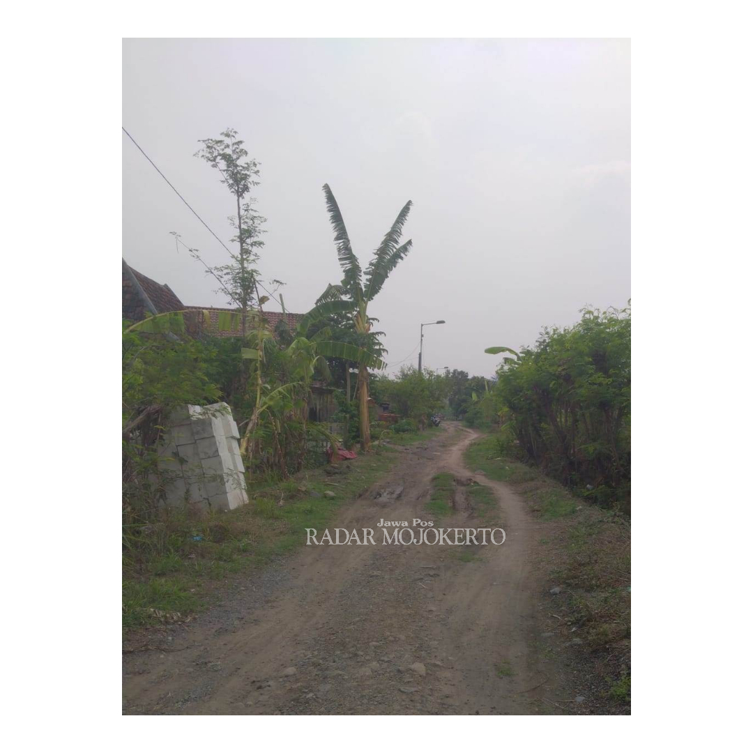 RUSAK PARAH: Ruas jalan poros Desa Lakardowo&ndash;Desa Parengan, Kecamatan Jetis mengalami kerusakan parah. Tahun ini, pemda memastikan menjadi salah satu yang jadi prioritas perbaikan, kemarin (26/1).
