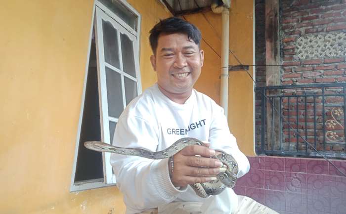 TAK BIASA: Yoseph Rinadi bersama ular piton piaraannya di Desa Canggu, Kecamatan Jetis, Kabupaten Mojokerto. (foto: Satria Putra for Radar Mojokerto)