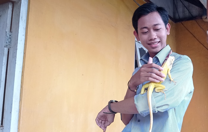 LANGKA: Satria Putra, siswa asal Kota Mojokerto memegang iguana albino berusia satu tahun peliharaan Yoseph Rinadi di Desa Canggu, Kecamatan Jetis. (foto: Wilda Mifta for Radar Mojokerto)