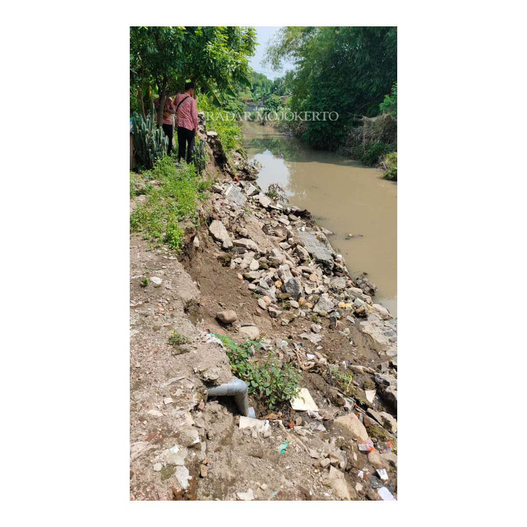 JADI ATENSI: Dinas PUPR Kabupaten Mojokerto melakukan survei atas kondisi tanggul sungai anak sungai Sadar di Dusun Mojogeneng, Desa Sadartengah, Kecamatan Mojoanyar yang mengancam rumah penduduk,