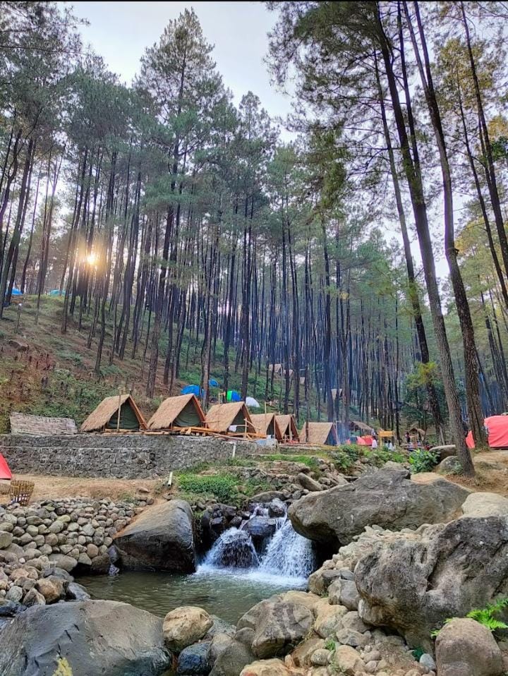 Wisata di Mojokerto memang tidak ada habisnya. Di wisata Kedung Klurak Anda bisa menikmati pemandian di tengah kesejukan dan asrinya hutan pinus.