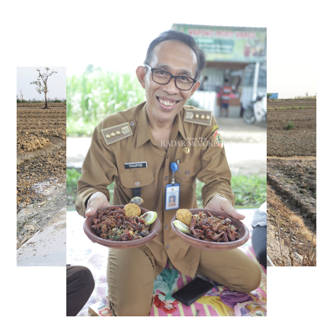 IKON BARU: Kuliner olahan belalang di Desa Suru, Kecamatan Dawarblandong, berkembang pesat.