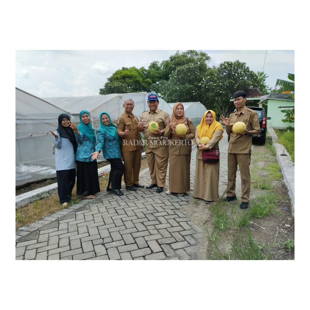PIONIR: Tim DLH Kabupaten Mojokerto saat meninjau panen budi daya melon premium pertamkali di Kebun KWT Raflesia, Desa Terusan, Kecamatan Gedeg.