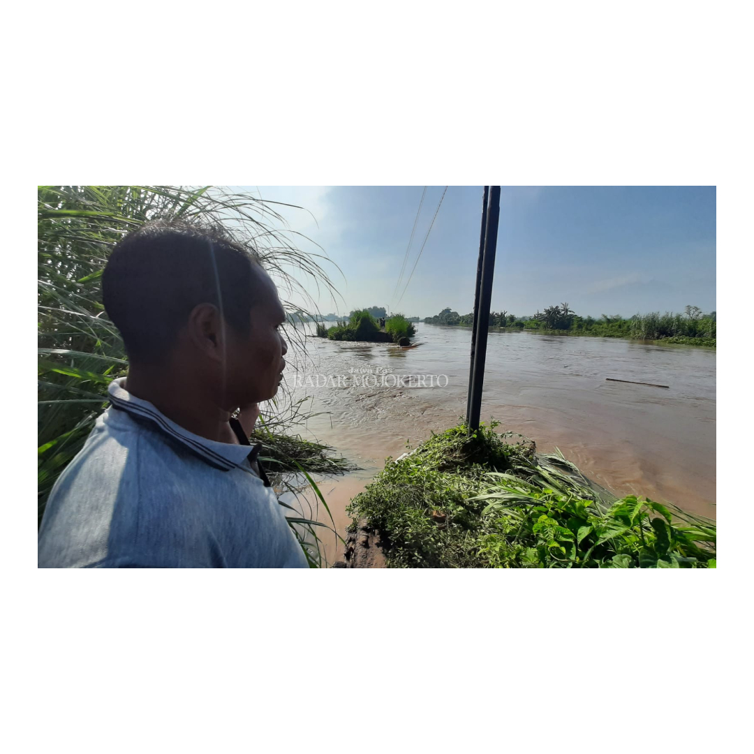 KRITIS: Kondisi tanggul Sungai Sadar di Desa Kedunggempol, Kecamatan Mojosari, Kabupaten Mojokerto akibat tergerus derasnya air hingga menyebabkan banjir.