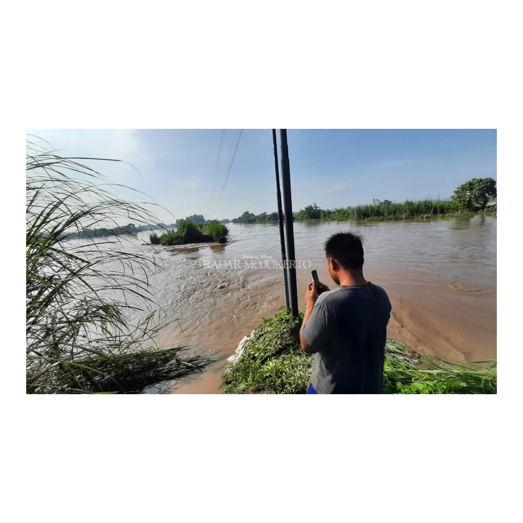 KRITIS: Kondisi tanggul Sungai Sadar di Desa Kedunggempol, Kecamatan Mojosari, Kabupaten Mojokerto akibat tergerus derasnya air hingga menyebabkan banjir.