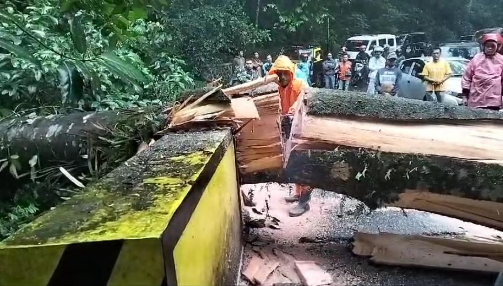TERSENDAT: Ruas Jalan Mojokerto - Batu, Kecamatan Pacet, Mojokerto, tertutup pohon tumbang, Selasa (12/3) pagi. Arus lalu lintas sempat lumpuh sementara.