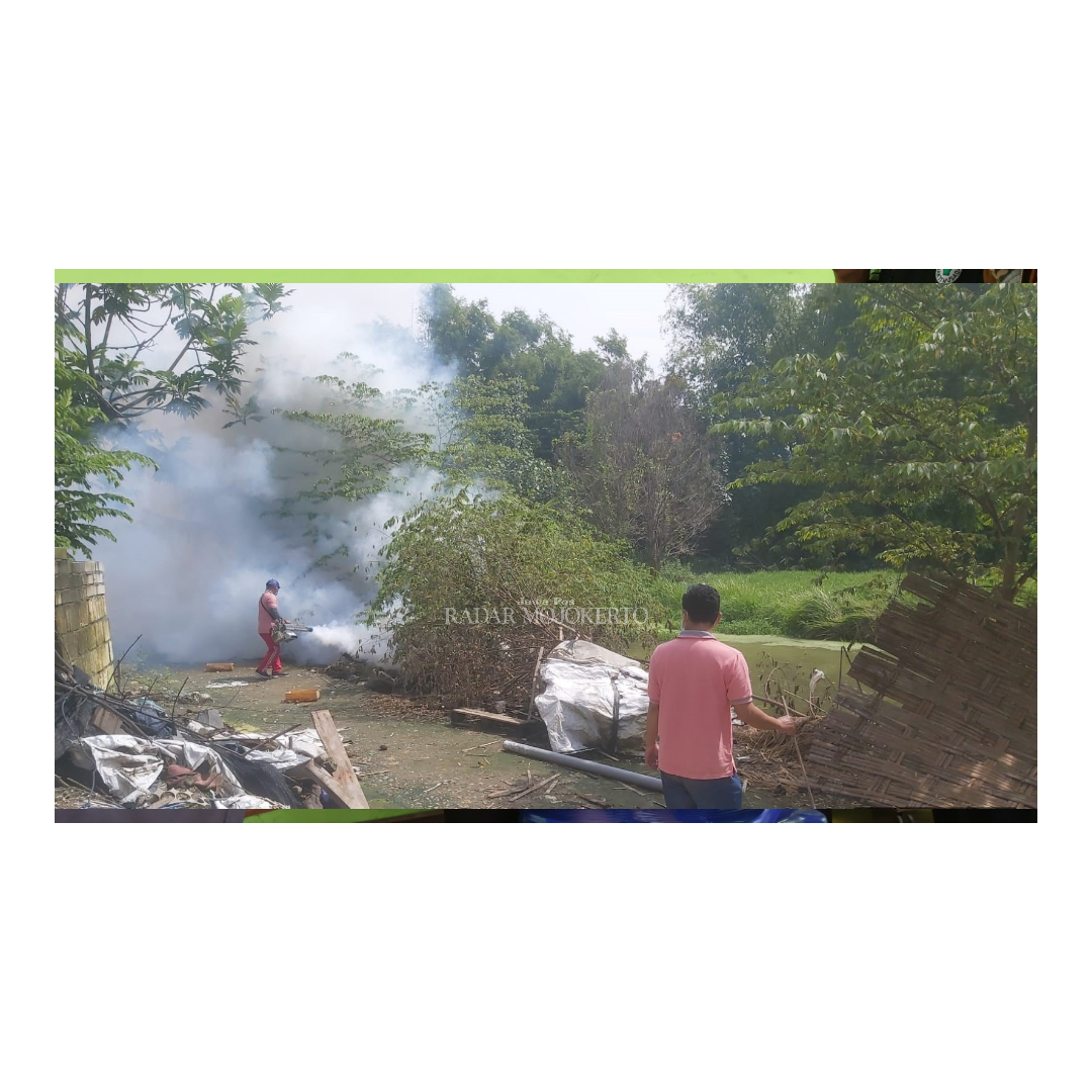 MELUAS: Tim dinkes, puskesmas dan relawan bekerja sama melakukan pengasapan untuk memberantas nyamuk Aedes aegypti di sejumlah desa yang sebelumnya terdampak banjir.