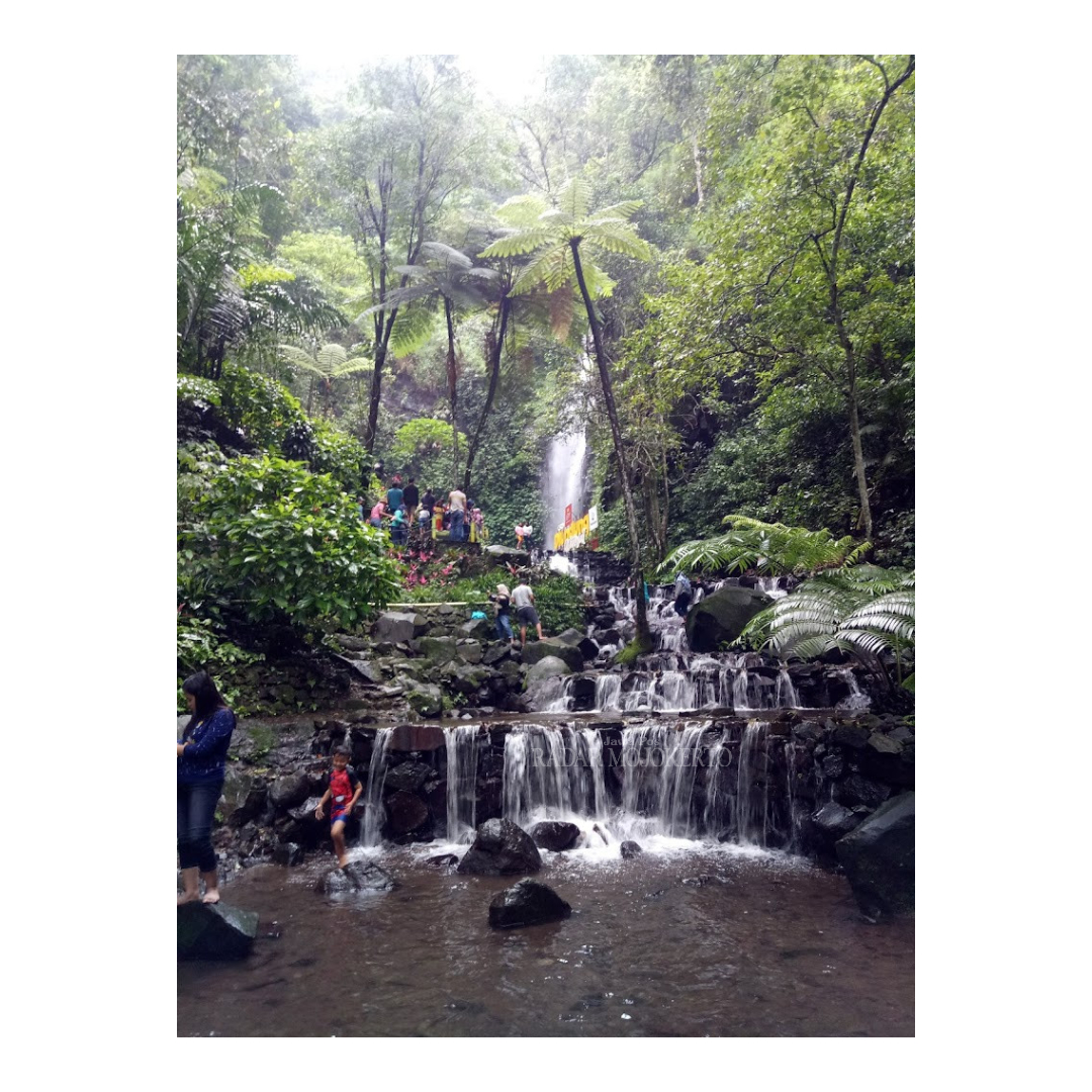 PAKET LENGKAP: Air Terjun Dlundung di Desa Ketapanrame, Kecamatan Trawas, Kabupaten Mojokerto, yang memiliki area camping ground.