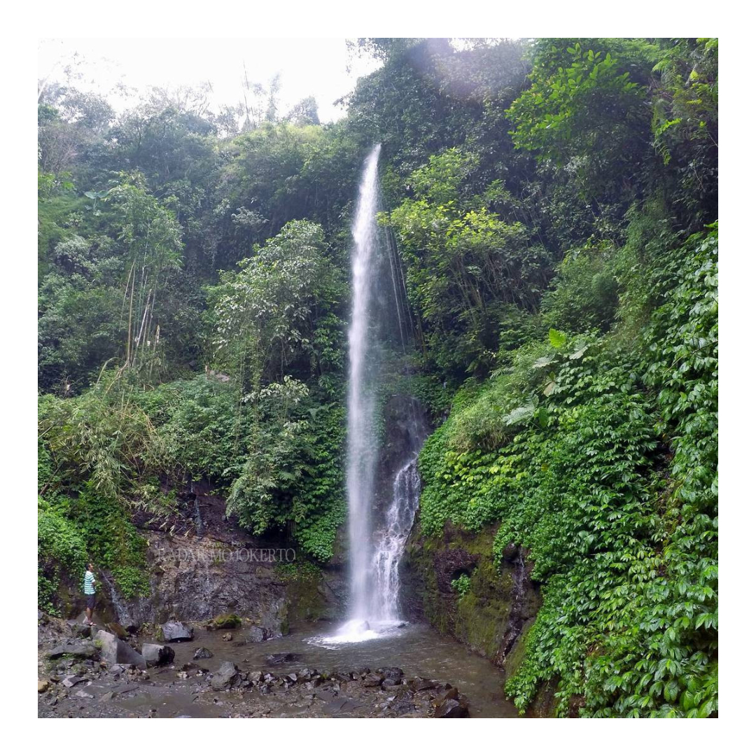 MEMESONA: Air Terjun Grenjengan di Desa Padusan, Kecamatan Pacet, Kabupaten Mojokerto, menawarkan pemandangan indah dan asri.
