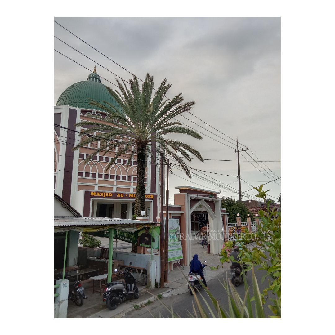 TUMBUH SUBUR: Pohon Kurma Azwa di sudut timur-selatan Masjid Al-Mubarok yang berada di Jalan Riyanto nomor 17, Kelurahan Prajurit Kulon, Kecamatan Prajurit Kulon, Kota Mojokerto, Kamis (15/03).