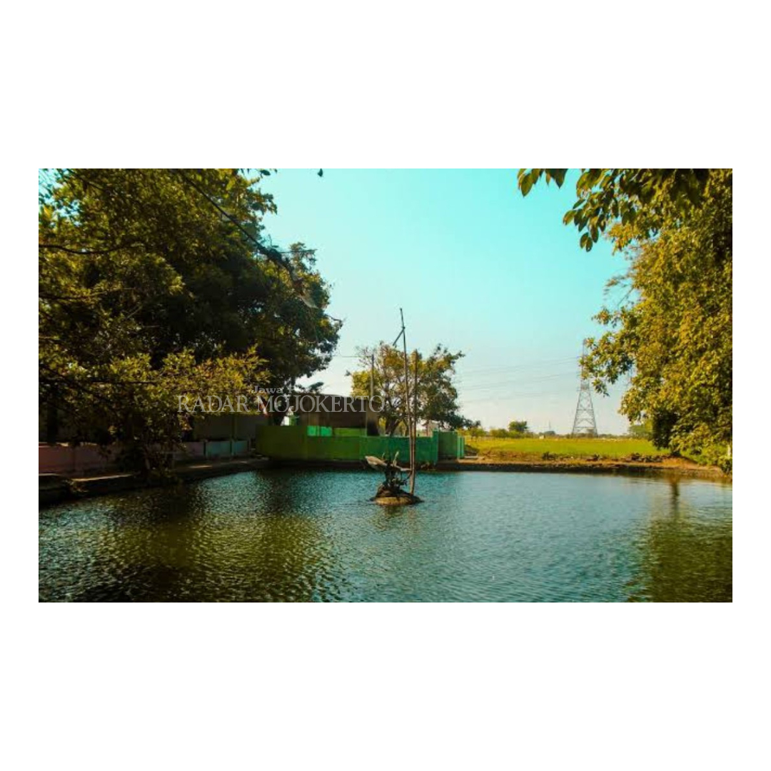 JERNIH: Kondisi kolam sumber air, Sumber Gadung yang memiliki potensi wisata di Desa Watesnegoro, Kecamatan Ngoro.