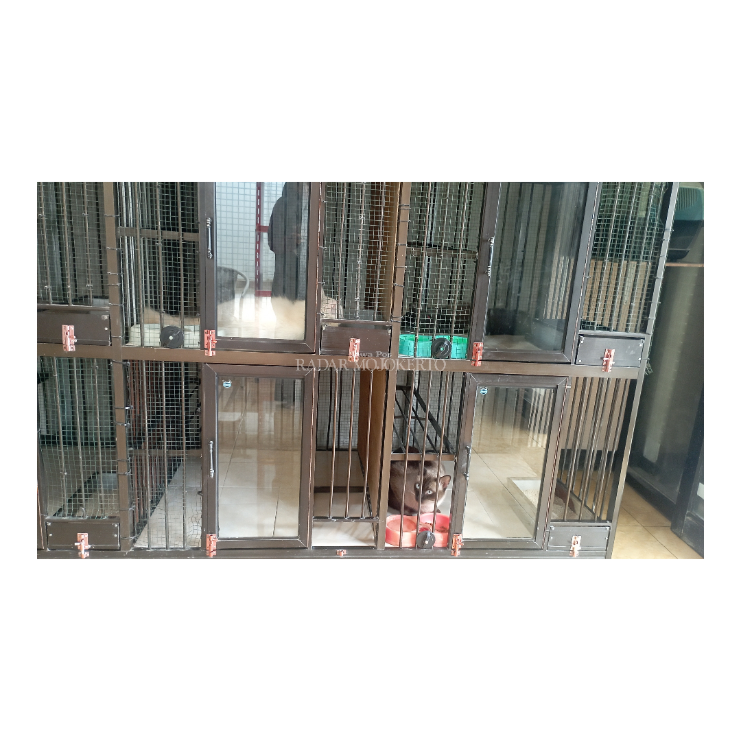 KANDANG: Tempat kandang penitipan hewan milik dr Faizal Lazuardi.