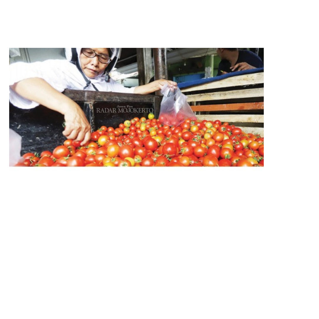 MAHAL: Pedagang tomat di Pasar Tanjung Anyar, Kota Mojokerto, sedang melayani pembelinya, Jumat (5/4).