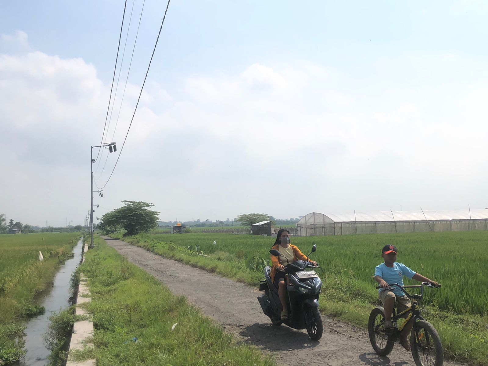 POTENSI: Sebagian besar wilayah Desa Wunut, Kecamatan Mojoanyar terdiri dari lahan pertanian dan bisa menjadi potensi peningkatan ekonomi desa.
