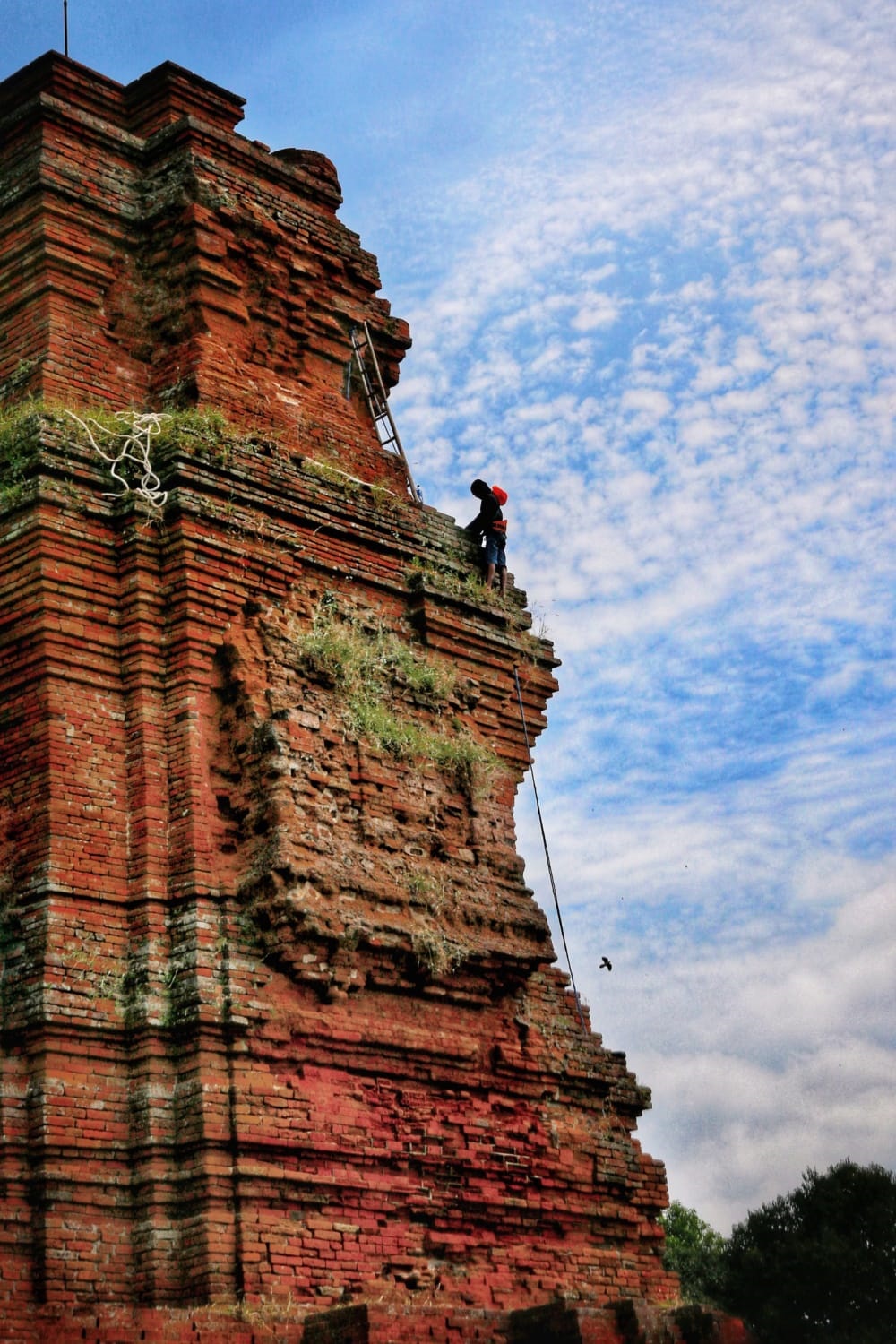 PEDULI: Tim juru pelihara memanjat bagian atap Situs Candi Brahu, Desa Bejijong, Kecamatan Trowukan, untuk membersihkan rumput dan lumut yang tumbuh menjalar, kemarin (27/4).