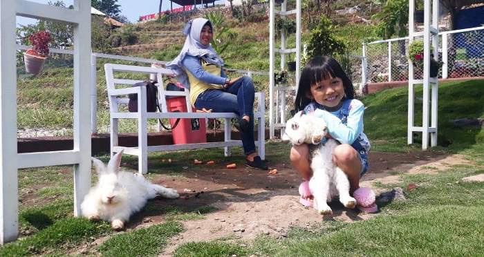 Bermain bersama kelinci dan belajar merawat pohon stroberi tersedia di area Taman Kelinci ini.