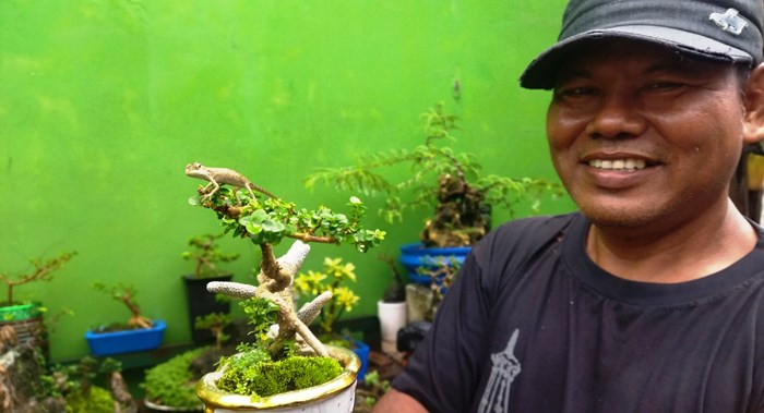 Miniatur: Seekor bunglon kecil yang berada di atas pohon bonsai bagaikan sebuah miniatur kehidupan. (Foto: Satria Putra for Radar Mojokerto)