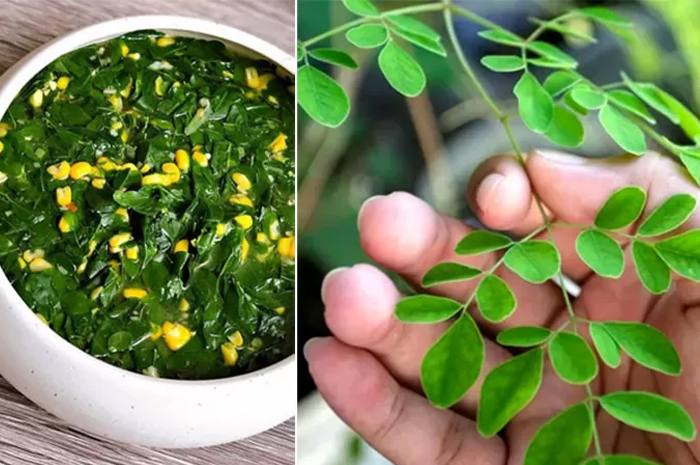 Daun kelor bisa diolah dengan berbagaijenis masakan. (Radar Banyuwangi)