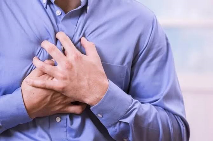 MEMULIHKAN: Sarang burung walet ternyata dapat membantu menurunkan risiko penyakit pada jantung dengan memiliki efek serupa seperti obat kolesterol. (foto. dok: Jawa Pos)