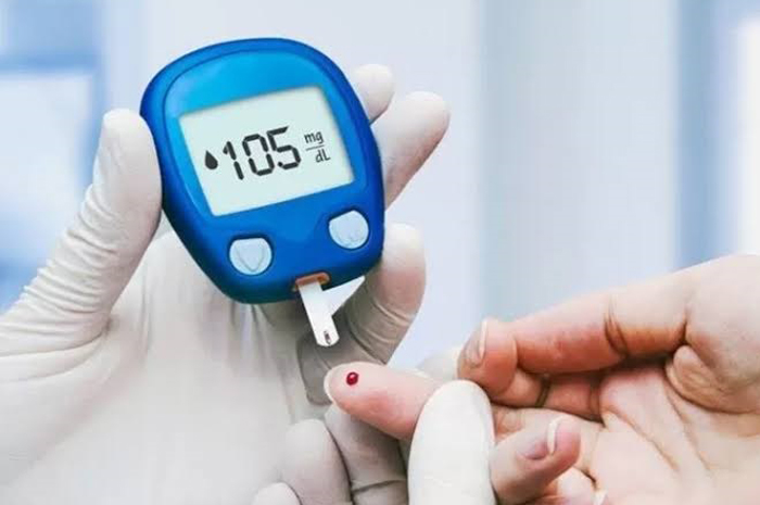 RESISTENSI INSULIN: Mengonsumsi sarang burung walet secara rutin dapat membantu mencegah adanya resistensi insulin yang merupakan salah satu faktor risiko terbesar untuk penyakit diabetes. (Jawapos)