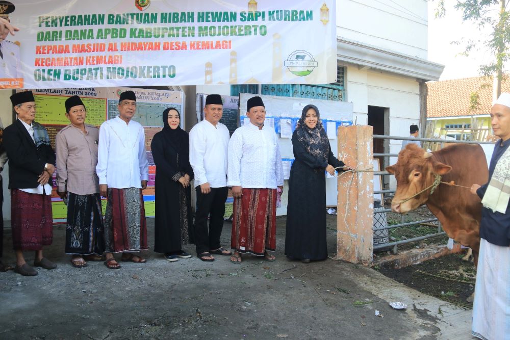BERBAGI: Bupati Ikfina Fahmawati bersama Sekdakab Mojokerto Teguh Gunarko menyerahkan sapi kurban kepada Takmir Masjid Al Hidayah, Desa/Kecamatan Kemlagi, Senin (17/6).