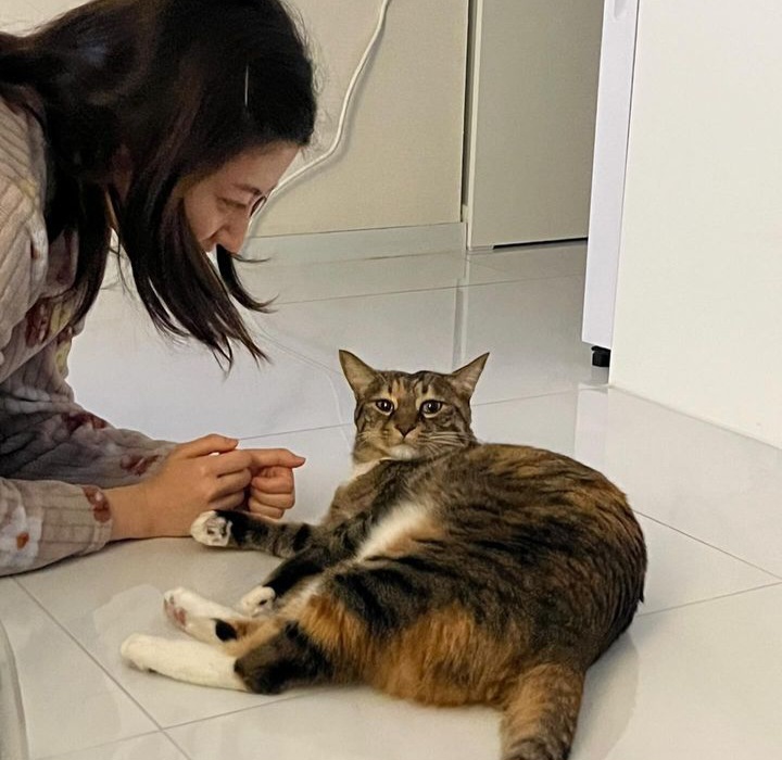 Nam Ji Hyun sangat mencintai kucing.