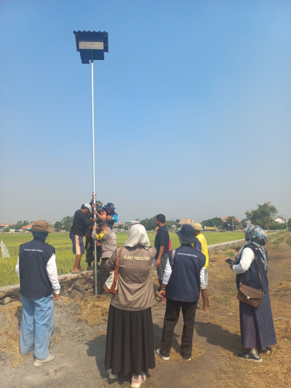 JADI SARANG: Poktan di Kelurahan Meri, Kecamatan Kranggan, Kota Mojokerto saat mendirikan rubuha untuk mengendalikan hama tikus di area pertanian.