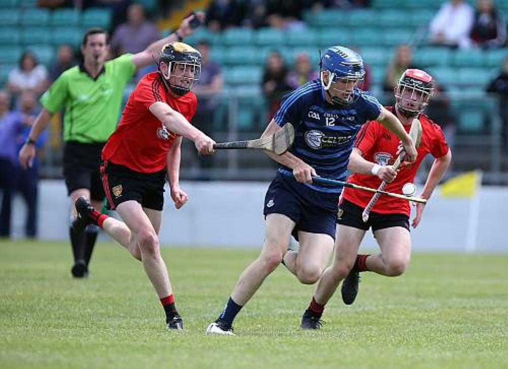 Olahraga Hurling
