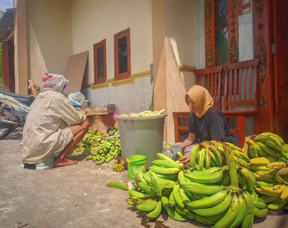 KREATIF: Produsen membersihkan pisang muda di Dusun Sukorejo, Desa Kemiri, Kecamatan Pacet, kemarin (12/8)