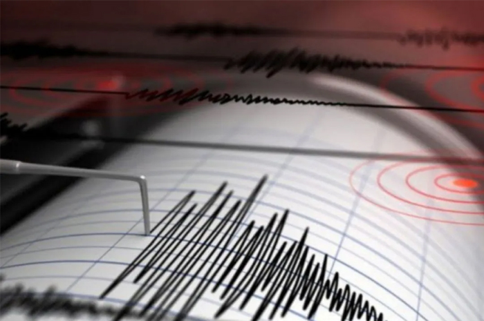 Ukur Kekuatan Gempa, BMKG Gunakan Magnitudo Bukan Skala Richter. Ini Bedanya. (Antara)