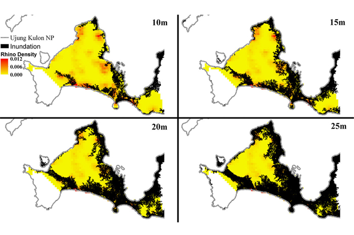 Caption: Pemodelan ketinggian gelombang tsunami terhadap habitat badak Jawa di Taman Nasional Ujung Kulon. Sumber: jurnal &ldquo;Preventing Global Extinction of the Javan Rhino: Tsunami Risk and Future.