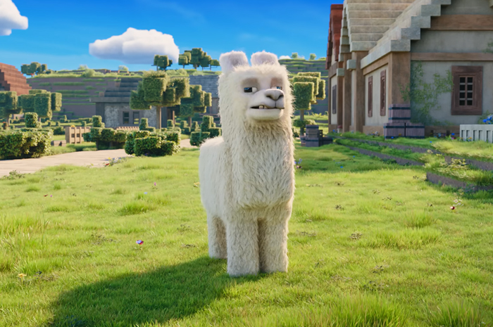 Llama