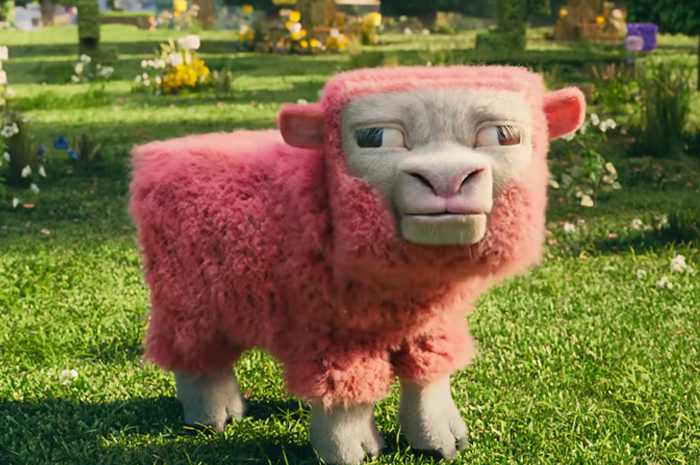 Sheep