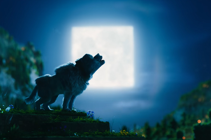 Wolf