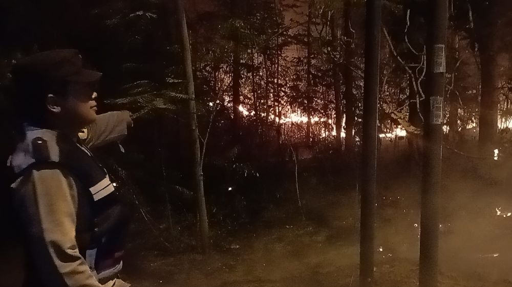 MEMBARA: Kebakaran hutan milik Perhutani di kawasan Watu Blorok, Desa Kupang, Kecamatan Jetis, Kamis (12/9) malam.