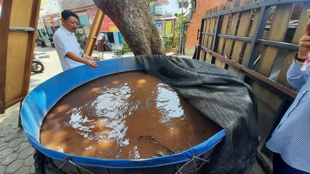 PERIKANAN: Lurah Prajurit Kulon Muhamad Nurhadi saat memberikan pakan pada ikan lele di kolam bioflok menggunakan maggot.