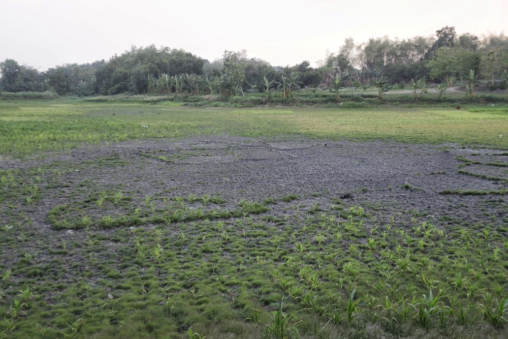 MENGERING: Petani mengais air di waduk Dusun Sidobecik, Desa Pulorejo, Kecamatan Dawarblandong, kemarin.